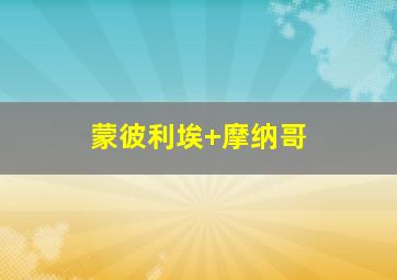 蒙彼利埃 摩纳哥